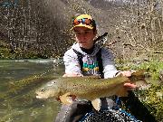 tom and brown trout